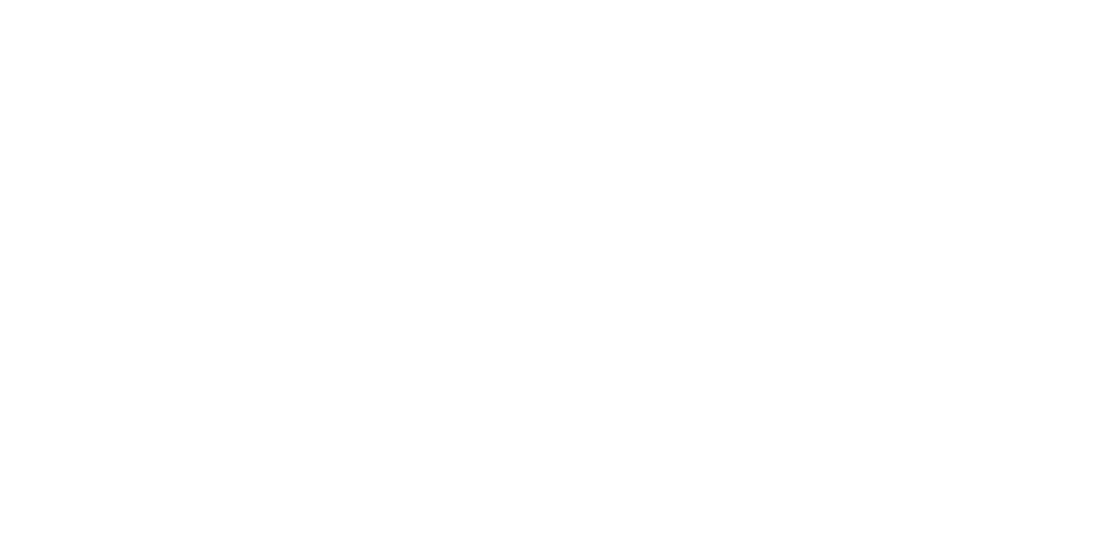 irpamdeq-logo (2)